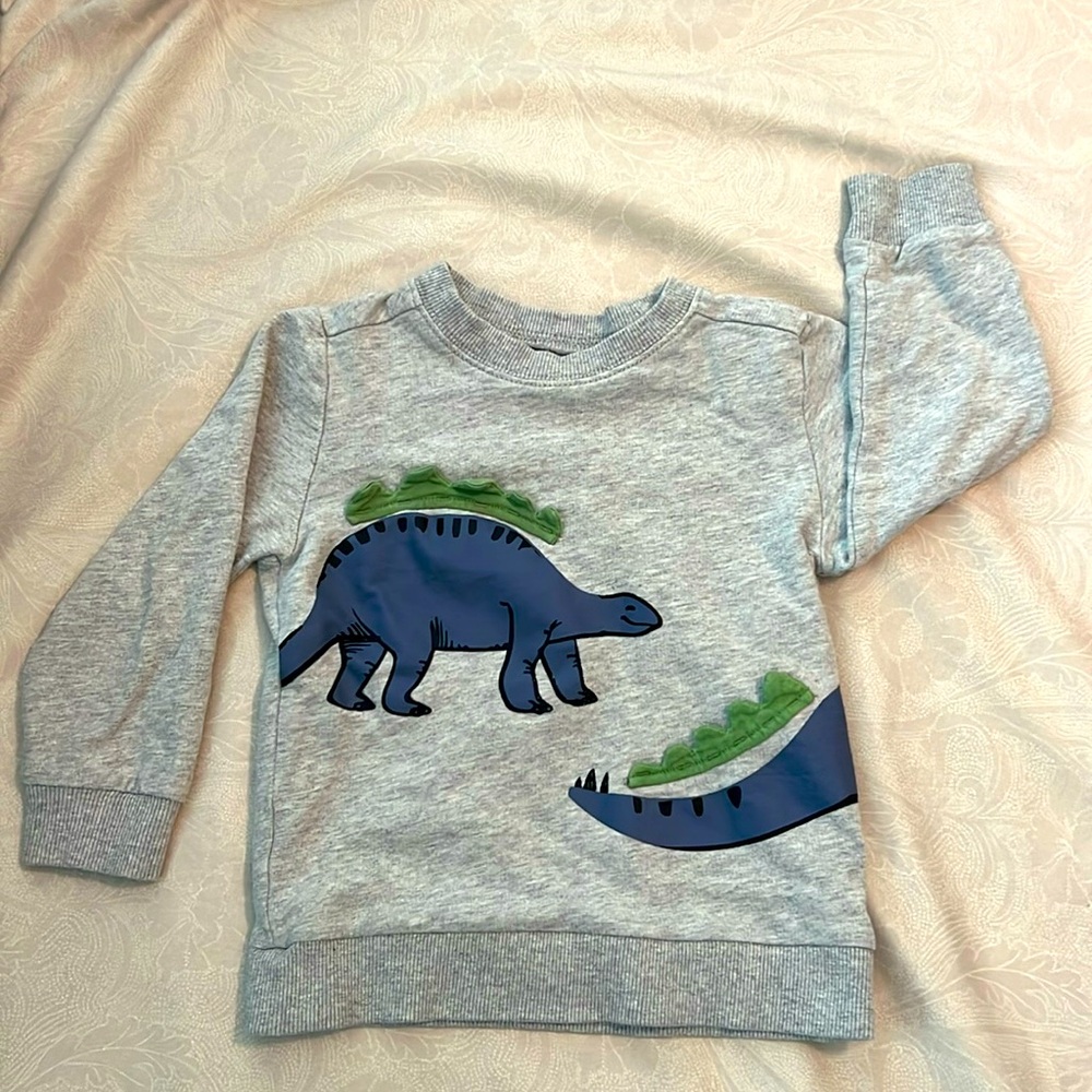 Carters stegosaurus sweatshirt